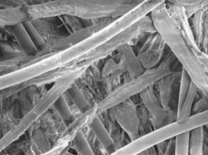 Cellulose filtration media.